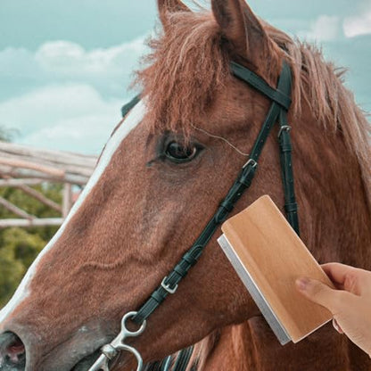 Ergonomic Horse Brush for Grooming Large Livestock Non-slip Handle Deshedding Tool and Cattle Moderate Curve Skin-friendly Cleaning Scraper with Massage Function