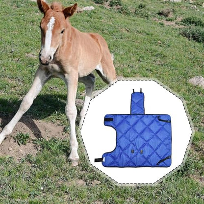 Calf Blanket for Cold Weather - Thickened Insulated Coat for Calves 35-90 kg (77-198 lbs) - Waterproof Oxford Material