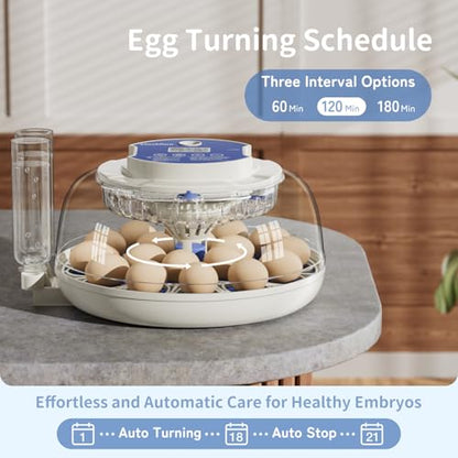 18 Egg Incubators for Hatching Eggs, Incubation Day Display, 2 Egg Trays, Automatic Egg Turning, Built-in Egg Candler, Auto Refill, Adjustable Air Vent, for Chicken, Quail, Duck, Turkey & Goose Eggs