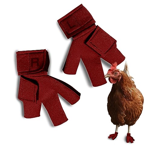 Chicken Shoes for Injured Feet – Protective Neoprene Footwear for Chicken, Open-Toe Design for Bumblefoot Relief, Made in USA - Large, 4" Max. Inside Width, Red - color: Red, size: Large Chickens, style: CHICKEN SHOES