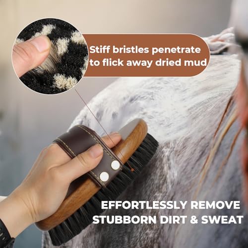 HOP Professional Equine Stiff Body Brush – Heavy Duty Mud & Sweat Remover – Natural Hard Bristles with Ergonomic Wood Handle – Adjustable Leather Strap for Grooming Horses & Livestock