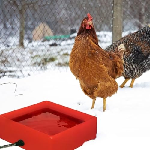 Farm Innovators D-19 1.25 Gallon Electric Heated Chicken Pet Animal Water Bowl with Thermostatic Control and Anti Chew Cord Protector, 60 Watt, Red - size: 5 Qt