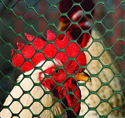 Tenax Poultry Fence - Durable Plastic Poultry Fencing - 4 ft x 25 ft - Green Plastic | Poultry Hex Mesh - color: Green, size: 4-ft x 25-ft