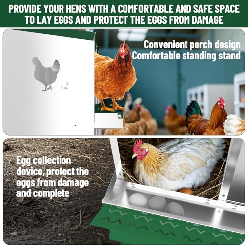 Chicken Nesting Box,10 Holes Galvanized Steel Metal Chicken Laying Box with Automatic Roll-Away Egg Collection System & Removable Tray,Wall Mount Nesting Boxes - color: Green, size: 10 Holes