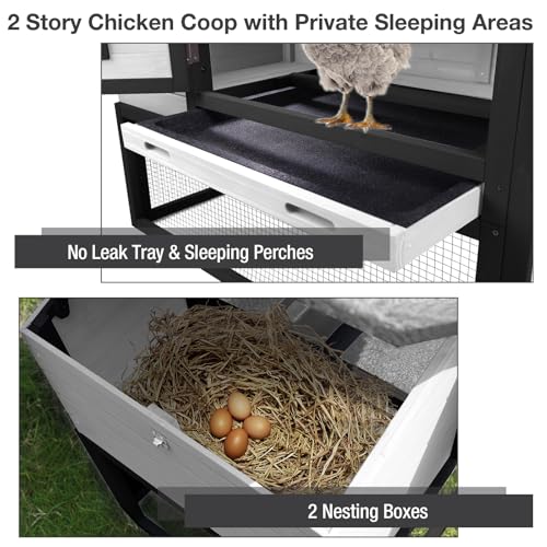 Mobile Chicken Coop for 2-4 Chickens with Wheels, Outdoor Hen House with Leak-Proof Tray, UV-Resistant Roof & Nesting Box for Chickens, Ducks, Rabbits (Black) - color: Black