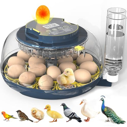 Incubators for Hatching Eggs, 18 Eggs Incubator with Egg Candler, Auto Egg Turner, Temp & Humidity Control, Hatch Day, Auto Water Refill, 2 Size Egg Tray, 360° Viewing for Chicken, Duck, Quail - size: 18 Chicken Eggs