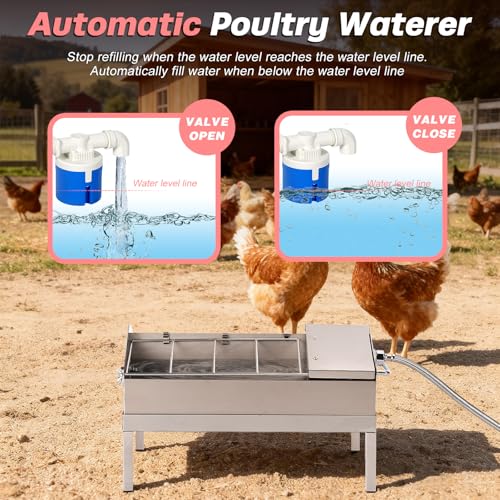 2 in 1 Automatic Chicken Waterer and Feeder, Stainless Steel Chicken Water Feeder with Float Valve Auto Fill Poultry Water Dispenser Poultry Watering Systerm for Duck Turkey Quail Pigeon