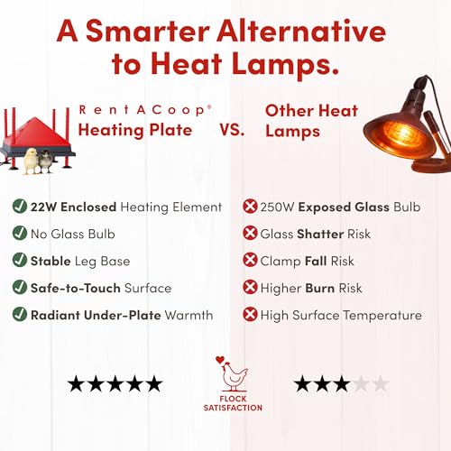 RentACoop 12x12” Adjustable Heating Plate with Bonus Foldable Anti-Roost Cone for up to 20 Chicks | Chick Brooder Heat Plate – Energy-Efficient 22-Watt Chick Heater - Safer Than Heat Lamps
