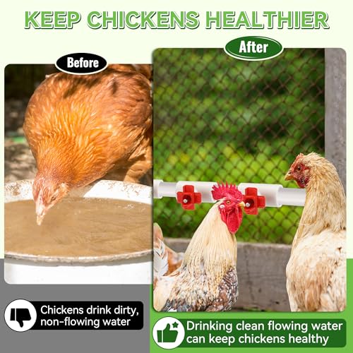 Enhon 12 Pack Chicken Nipples Waterer with 1/2'' PVC Tee Fittings, DIY Auto Chicken Waterering System, Horizontal Side Mount Poultry Water Nipple Waterer Drinker and for Ducks Quail and Other Poultry