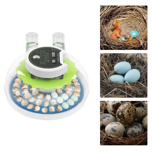 60 Incubators for Hatching Eggs, Quail Egg Incubator Automatic Turner with Dual Power Supply & Intelligent Control, Adjust Temperature & Humidity, Poultry Egg Incubator for Hatching Chicken Duck Bird - size: 60 eggs