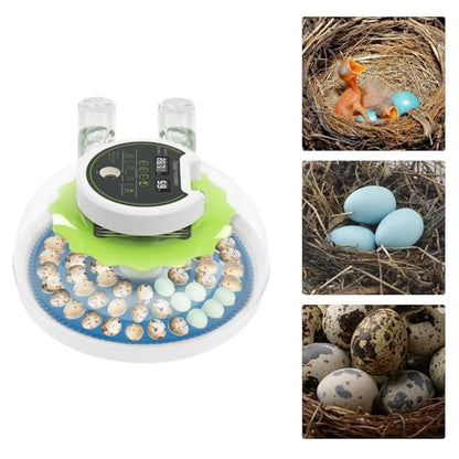 60 Incubators for Hatching Eggs, Quail Egg Incubator Automatic Turner with Dual Power Supply & Intelligent Control, Adjust Temperature & Humidity, Poultry Egg Incubator for Hatching Chicken Duck Bird - size: 60 eggs