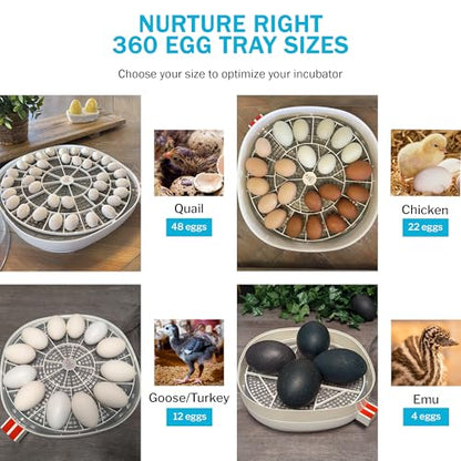 Egg Trays for Nurture Right 360 Egg Incubator - 22 Medium Chicken Eggs Capacity - Durable Hand Washable Egg Keeper for Chicken Goose Turkey Emu