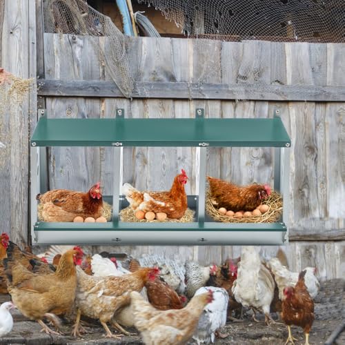 Green Chicken Nesting Box for Laying Eggs – Roll Away Poultry Nest, Durable & Easy-Clean Hen Egg Box for Coops, Secure & Comfortable (3-Hole,Green) - color: 3-Hole,Green
