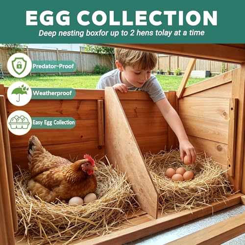 Large Chicken Coop for 4-6 Chickens with Attached Run, Predator Proof Hen House with Waterproof Asphalt Roof & Removable Cleaning Tray