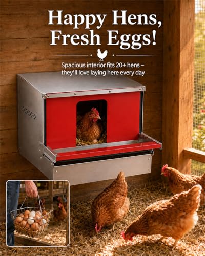 Roll Away Nesting Box with Roll Out Egg Collection, Reversible Nesting Boxes for Chickens, Metal Chicken Laying Boxes for Chicken Coop, Up to 20+ Hens, Easy Collection, Clean Eggs, Rustproof