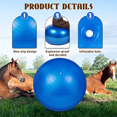 Sotiff 2 Pcs 40 Inch Horse Ball for Play Large Horse Big Equine Herding Anti Burst Dog Ball Soccer Giant, Pump Included(40 Inch,Blue) - color: Blue