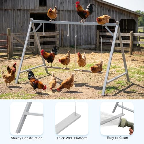 Chicken Perch Swing, Chicken Coop Roosting Bar, Metal Pet Swing Set for 6–8 Chicken, Poultry, Grey