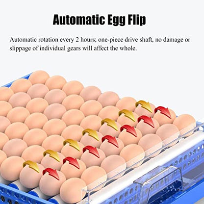 Eggs Incubators for Hatching, Automatic Turner & Humidity Control -Ducks Egg Incubator with Humidity Display, Egg Candler, Geese, Turkeys, Quails, Parrots, Pigeons (256 Eggs) - color: 256 eggs
