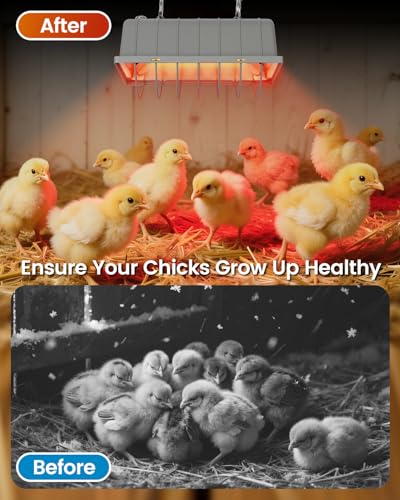 300W Dual-Mode Heat Lamp for Chickens - Long-Lasting Chicken Coop Heater & Chick Brooder Kit Companion, Safe Design with 7.87ft Cord for Poultry, Ducks, and Other Livestock - size: 300W-7.8"x 5.5"x 3.9"