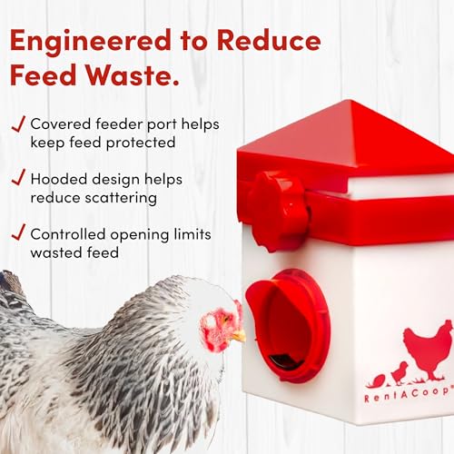 RentACoop Chick2Chicken 2.5lb BPA-Free Single-Port Chicken Feeder - Includes Anti-Roost Lid, Slider Port Cover, and Coop Clip, No-Waste Poultry Feeder Suitable for Quail, Chicks, and Adult Chickens