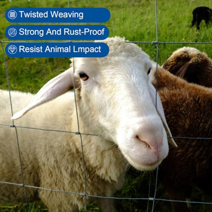 Galvanized 14 Gauge Cattle Livestock Wire Fence, Heavy Zinc Coating Welded Field Barrier 4ft & 5ft x 164ft, Hog Goat Sheep Deer Horse Fencing for Pasture Yard Garden Agriculture (5×164ft) - size: 5×164ft