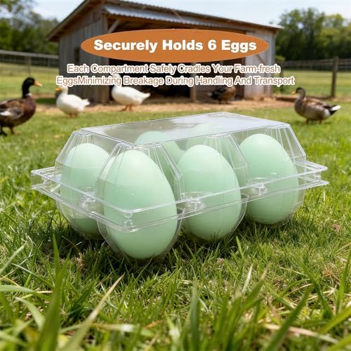 Clear Plastic Duck Turkey Jumbo Egg Storage Container, 6-Cell Cartons for Large Eggs, Reusable Refrigerator Tray (20)