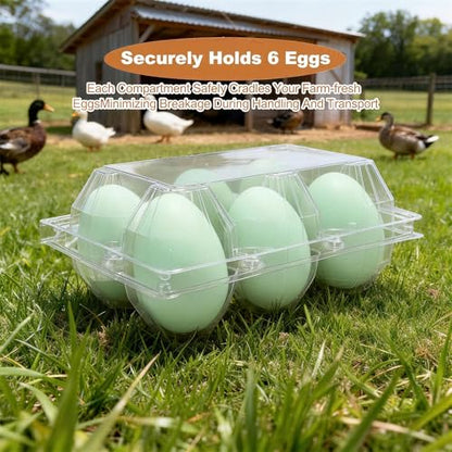 Clear Plastic Duck Turkey Jumbo Egg Storage Container, 6-Cell Cartons for Large Eggs, Reusable Refrigerator Tray (20)