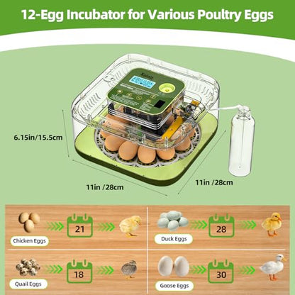 Automatic 12 Egg Incubator - Digital Temperature/Humidity Display, Hatch Day Countdown, Auto Egg Turner & Candler with 360° View for Hatching Chicken, Duck, Quail Eggs