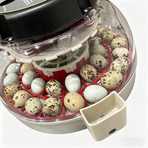 Quail Egg Turner Accessory for Kebonnix incubators – Holds 35 Quail Eggs, Automatic Rotating Tray Replacement (Red) - color: Red