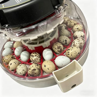 Quail Egg Turner Accessory for Kebonnix incubators – Holds 35 Quail Eggs, Automatic Rotating Tray Replacement (Red) - color: Red