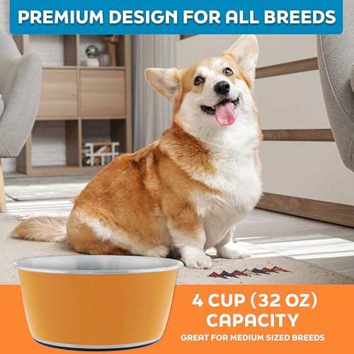 Master Pet Supply Stainless Steel Dog Bowls Set of 2 (32 Oz Each) with Non-Slip Rubber Base - Mango Tango - Basic Dog Food Bowl Water & Food Bowls for Small Medium Large Dogs & Cats, Metal Dish - color: Mango Tango, size: 4 Cups (32 oz) 2 Pack