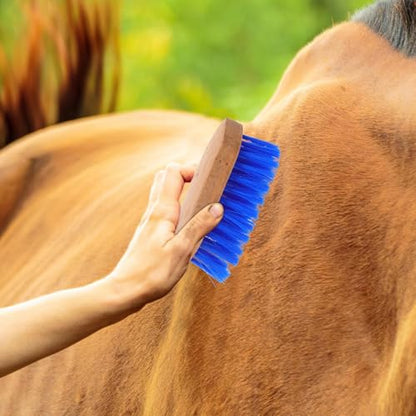jojofuny Horse Grooming Brush and Stiff Hair Comb, Hard Bristle Cleaning Brush for Equines and Cattle, Blue 15.5X5.5Cm, Suitable for Stable Use and Animal Hair Maintenance