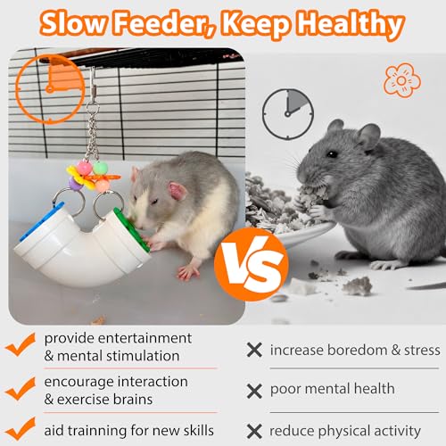 Rat Enrichment Foraging Toys, Interactive Puzzle Slow Feeder Treat Dispenser, Hanging Cage Accessories, Easy-Clean Rodent Toys for Rat Mice, Bird Foraging Toy for Parakeet Conure (1Pcs)