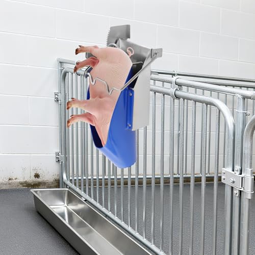 Pig CastRodention Tool & Piglet CastRodention Device, Stainless Steel CastRodention Rack with Position Restraint System, Livestock Breeding Equipment for Farm Swine Management and Animal Husbandry