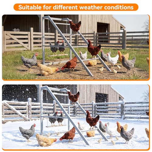 Chicken Roosting Bars with Ladder Chicken Perch Swing Roosting Bars for Chickens in Coop Playground Ladder for 6-8 Hens for Backyard Farm Poultry, Grey