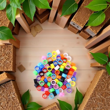 100 Pcs Multicolor Poultry Leg Rings, 10 Colors Poultry Foot Rings Bird Identification Leg Bands Clip-on Rings for Birds, Ducks and Chickens Diameter Poultry Feeding and Watering Supplies 8mm