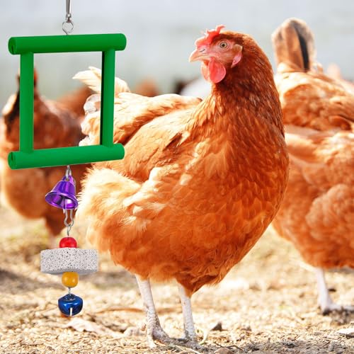 Sumind 2 Pieces Chicken Mirror Toys Hanging Swing Mirror with Bell Wooden Pecking Toy and 4 Pieces Beak Grinding Molar Stones for Hens Birds Parrots(Red,Green) - color: Red,green