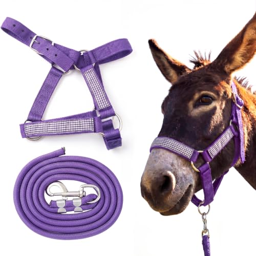 1 Set Miniature Donkey Halter with Lead Ropes, Cute and Stylish Adjustable Nylon Head Collar Set for Miniature Donkeys (Purple) - color: Purple