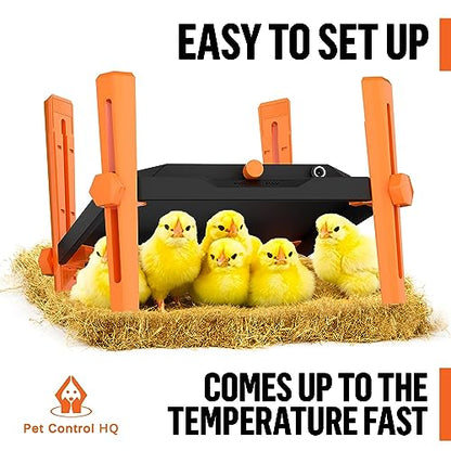 Pet & Livestock HQ Chicken Brooder Heater for Chicks - Chick Brooder Heat Plate - 12” x 12” Indoor Brooder Heating Kit with Adjustable Height and Temperature Display