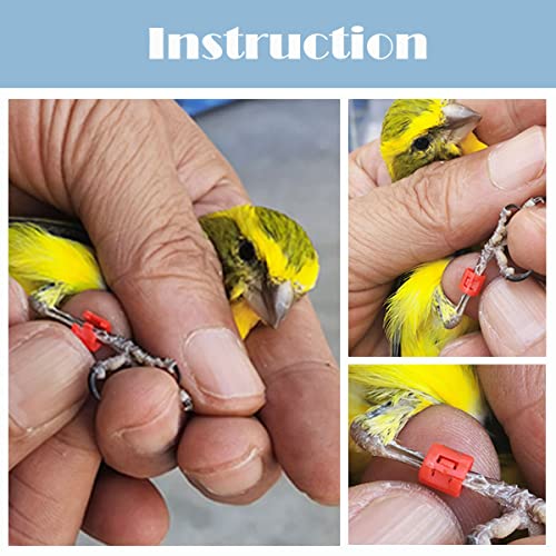 FOIBURELY 20 pcs Bird Leg Clip Ring 3mm for Canary Gouldian Zebra Finch Society Bird Clip Foot Ring (Diameter 3mm)