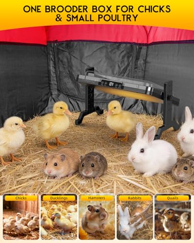 Chicken Brooder Box for Chicks, Magicfly Chick Starter Kit with 15 x 11 Inch Brooder Heating Plate, Chicken Brooder Tent/Pen/Playpen with Chicken Perch, Feeder & Waterer, for Chicks, Duck, Quail - color: Complete Starter Kit(Heating Plate Included)