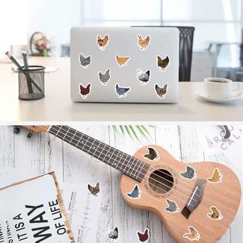 1000 Pcs Chicken Stickers Bulk 2 Roll 1 Inch, Chicken Stickers for Mens Boys Girls.Cute Animal Sticker Pack for Water Bottles Laptop Luggage Cup - color: Chicken Stickers