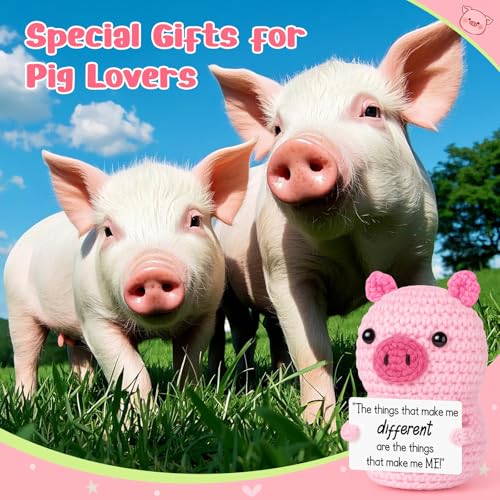 GevGuxLuo Mini Positive Handmade Crochet Pig Inspirational Cheer Up Gifts for Women, Graduation Back to School Birthday Gifts for College Students Teen Teacher Small Cute Decor-Make Me Different - style: Different