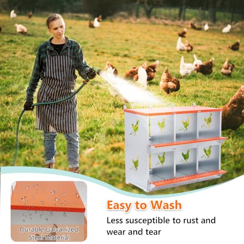 Heavy-Duty Wall-Mounted Metal Nesting Box for Backyard Chickens and Ducks with Ventilation and Easy Egg Access (6-Orange)