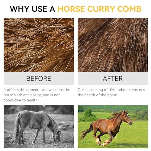 Stainless Steel Horse Curry Comb, Shedding Blade Horse Brush Scraper Dog Shedding Blade Stainless Steel Grooming Blade for Horse Hair Cleaning