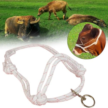 Menolana Bull Bridle Cow Halter for Home Cattles Farms Outdoor Strong Cow Lead Equipment Nylon Tools Effective Cattle Traction Halter - size: Small