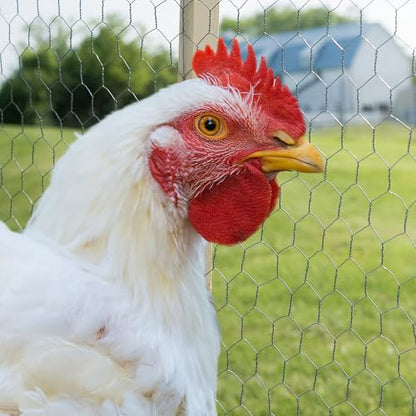 YARDGARD 2 Inch Poultry Netting, Chicken Wire Fence, 20 Gauge Galvanized Steel, Rabbit Fencing, Bird Enclosures, Garden Protection and Plant Support, 36 Inches x 150 Feet