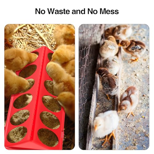 Chick Feeder and Waterer Kit, Chick Feeder Trough and 0.3 Gallon Chick Waterer, No Waste Baby Chick Starter Kit for Chicks, Ducks, and Quail - color: Set