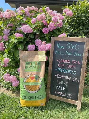 Chick Starter Feed - Non-GMO Chick Food Starter with Omega 3 and Natural, Herbal Ingredients - Chicken Feed for Growing Healthy Chicks with High-Protein 22% and Probiotics - 10 Lb - size: 10 Pound (Pack of 1)