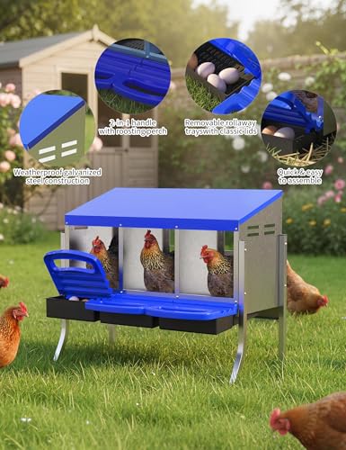 Garvee Nesting Boxes for Chickens - 3 Compartment Metal Stainless Steel Chicken Nesting Boxes with Pull-Out Trays,Hen Roosting & Laying Eggs,Roll Away Design,Easy to Install and Easy to Clean - color: Blue, size: 3 Holes with legs